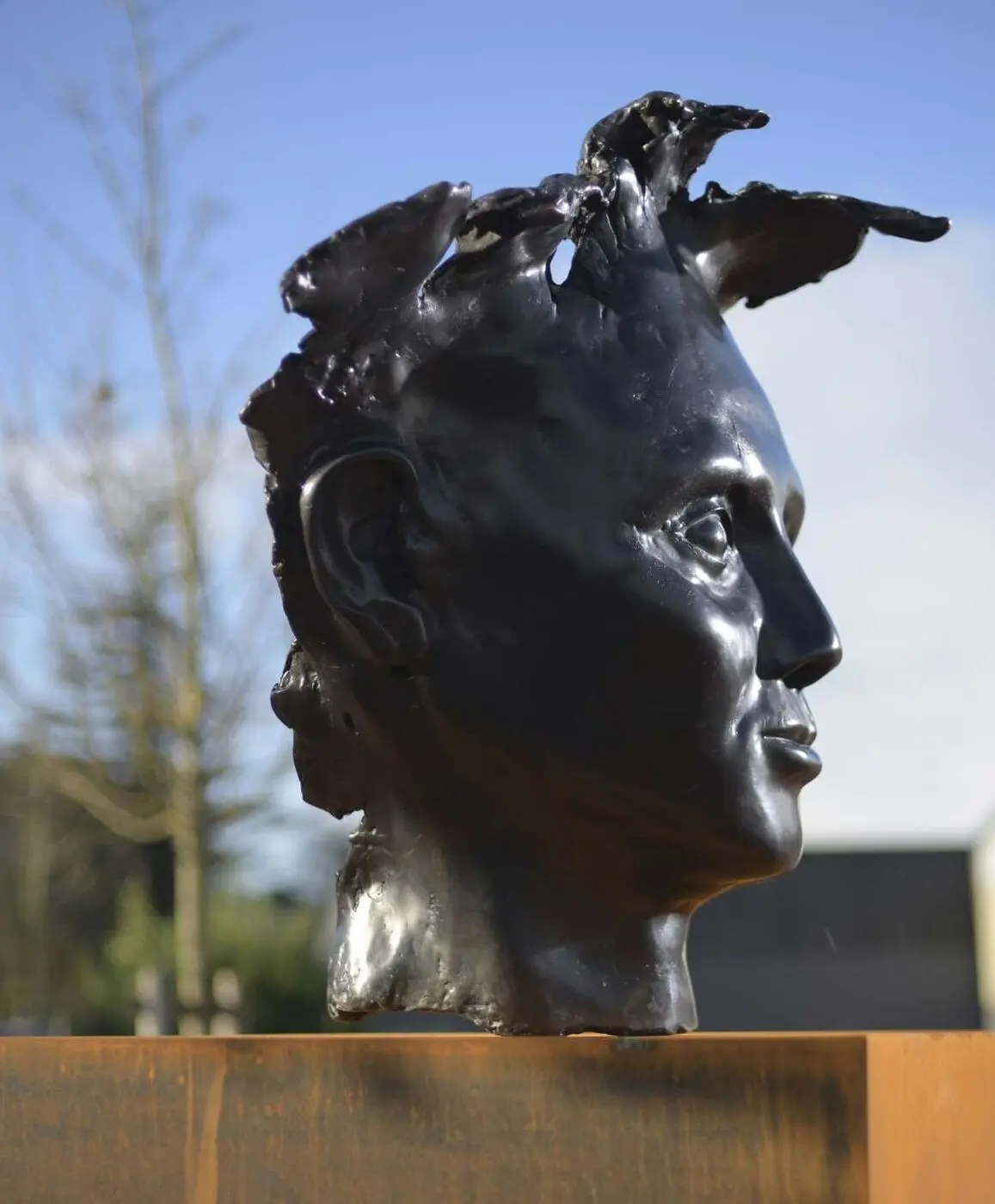 Sculpture · bronze patiné noir · Thierry Farcy